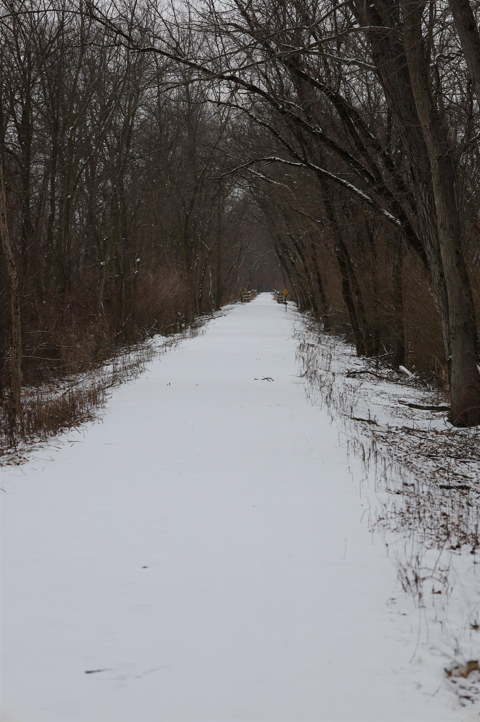 0 Beaver Road Freeport, IL 61032 - Photo 37 of 37 a view of a snow on the road