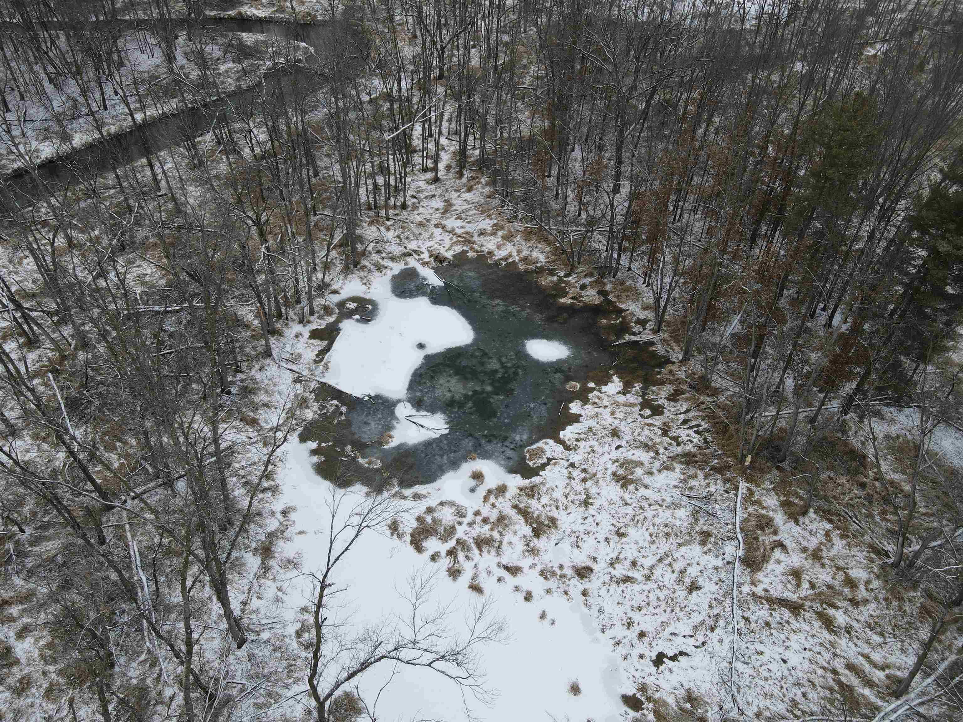 0 Beaver Road Freeport, IL 61032 - Photo 10 of 37 a close up of a plant in a yard