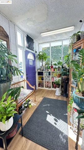 a living room filled with furniture and a potted plant