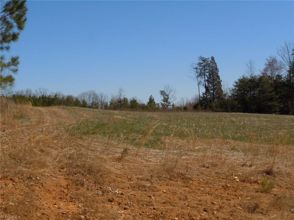 Lot 7 Percy Wall Road Walnut Cove, NC 27052 - Photo 2 of 30 Gallery Image 2