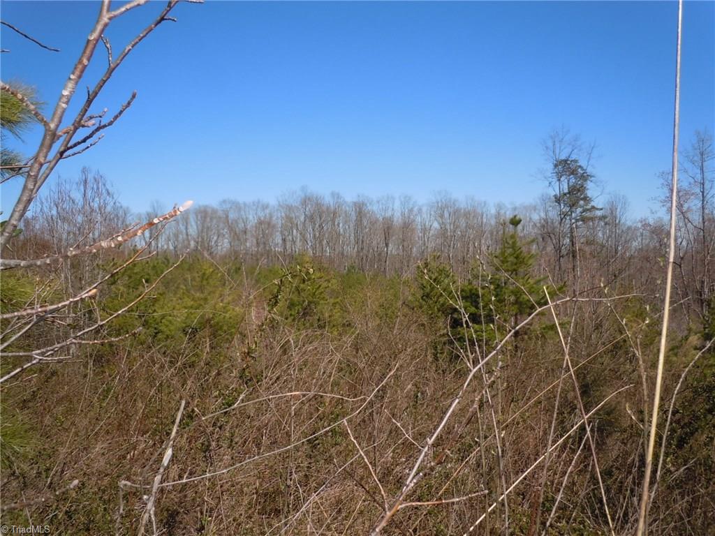 Lot 7 Percy Wall Road Walnut Cove, NC 27052 - Photo 12 of 30 Gallery Image 12