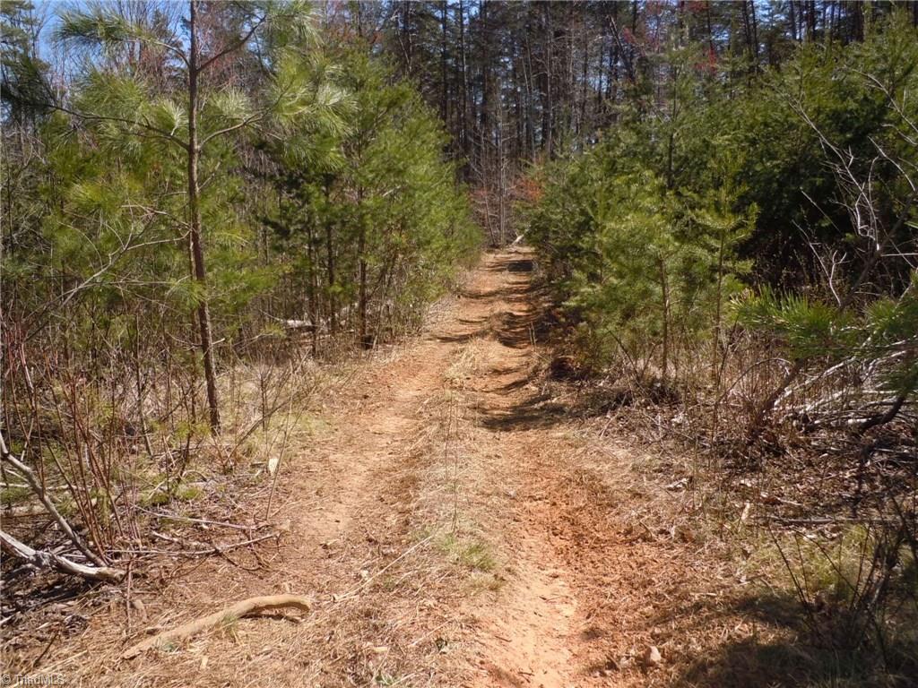 Lot 7 Percy Wall Road Walnut Cove, NC 27052 - Photo 13 of 30 Gallery Image 13