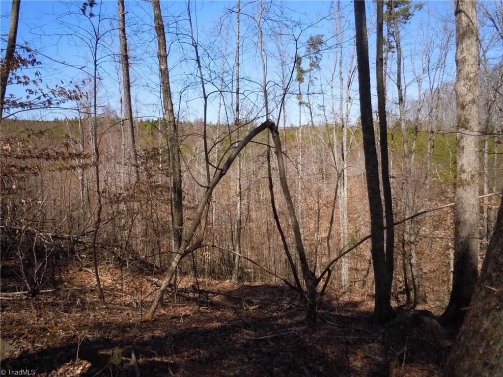 Lot 7 Percy Wall Road Walnut Cove, NC 27052 - Photo 15 of 30 Gallery Image 15