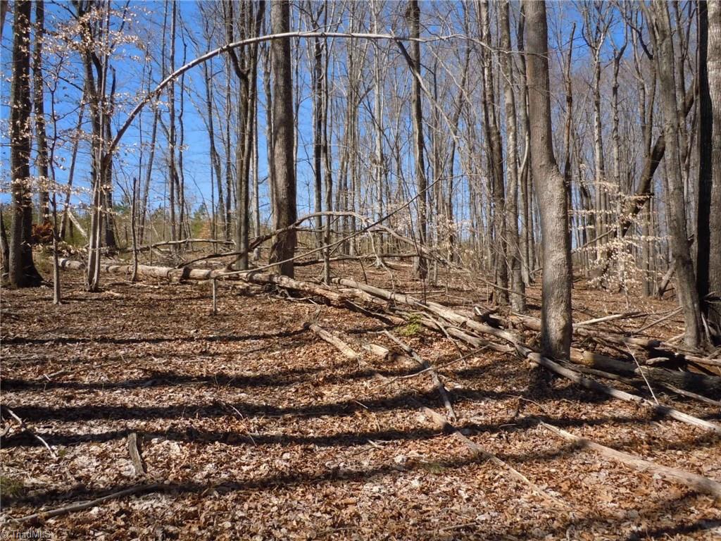 Lot 7 Percy Wall Road Walnut Cove, NC 27052 - Photo 16 of 30 Gallery Image 16