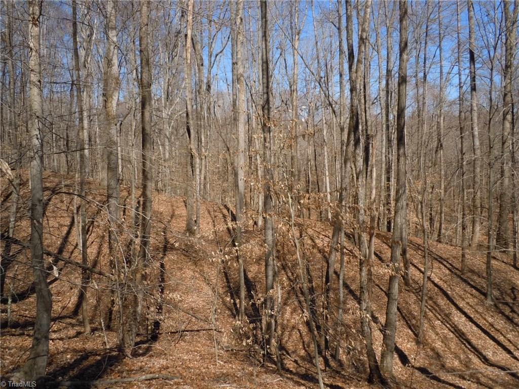 Lot 7 Percy Wall Road Walnut Cove, NC 27052 - Photo 17 of 30 Gallery Image 17