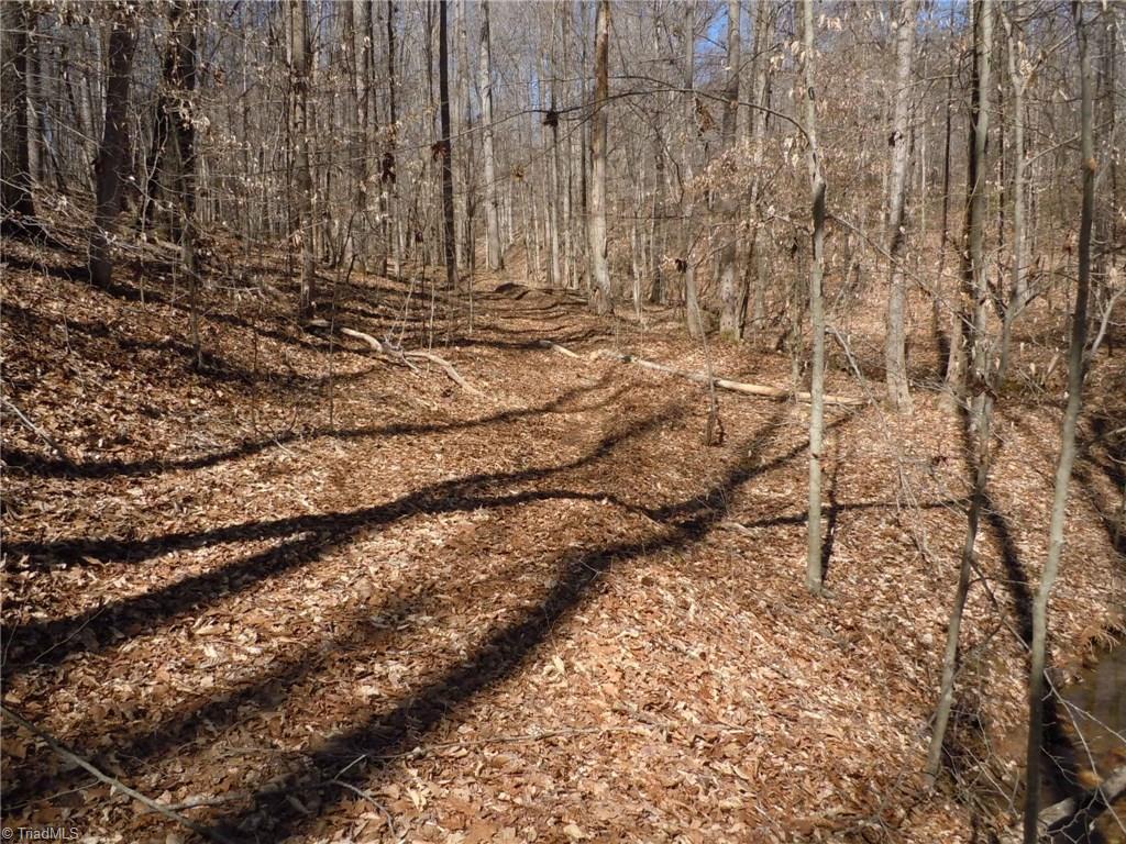 Lot 7 Percy Wall Road Walnut Cove, NC 27052 - Photo 18 of 30 Gallery Image 18