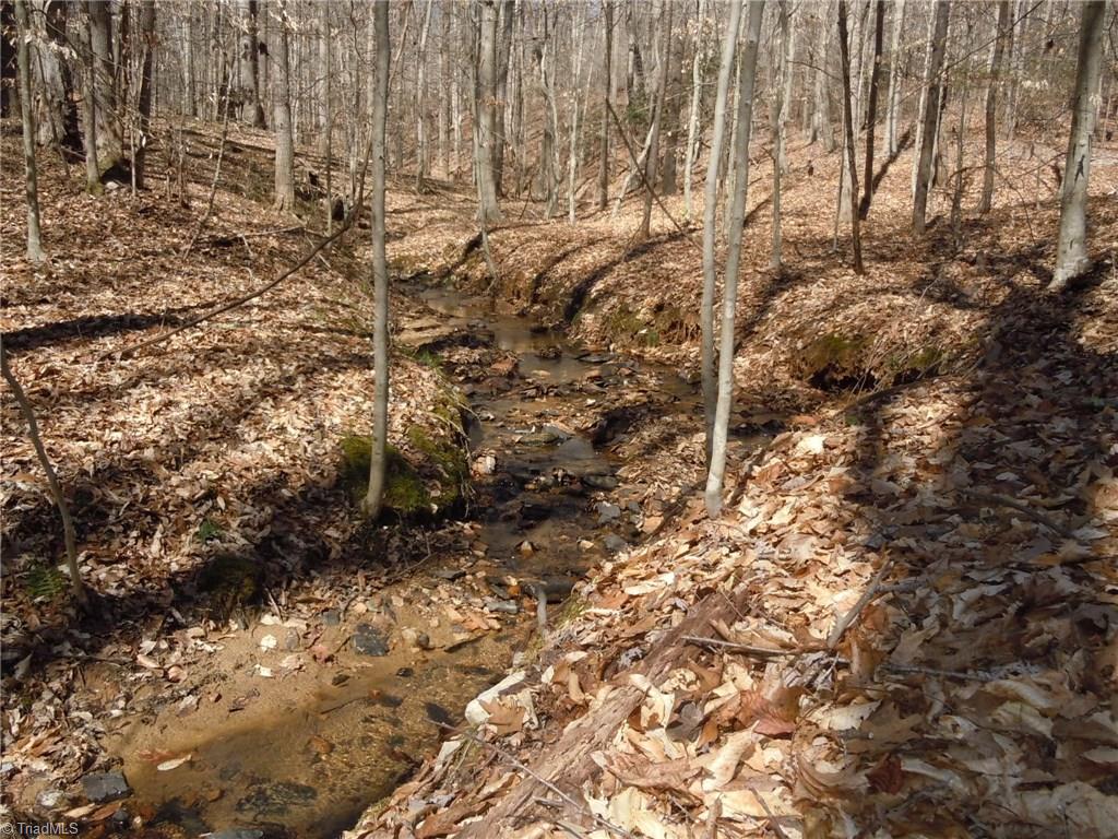 Lot 7 Percy Wall Road Walnut Cove, NC 27052 - Photo 19 of 30 Gallery Image 19