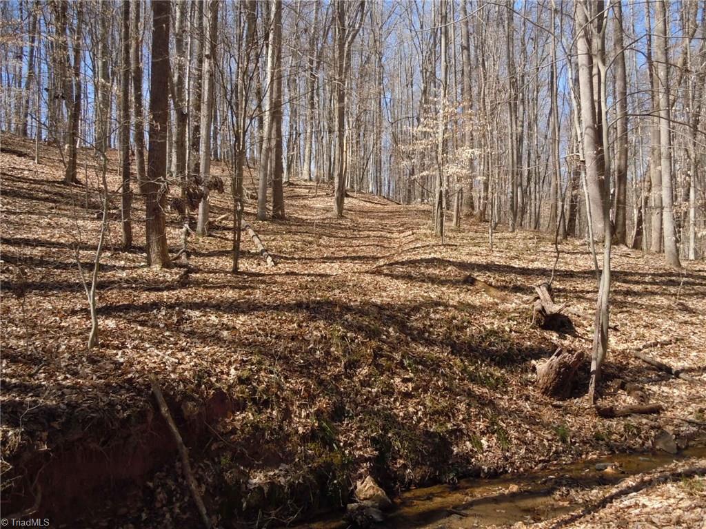Lot 7 Percy Wall Road Walnut Cove, NC 27052 - Photo 20 of 30 Gallery Image 20