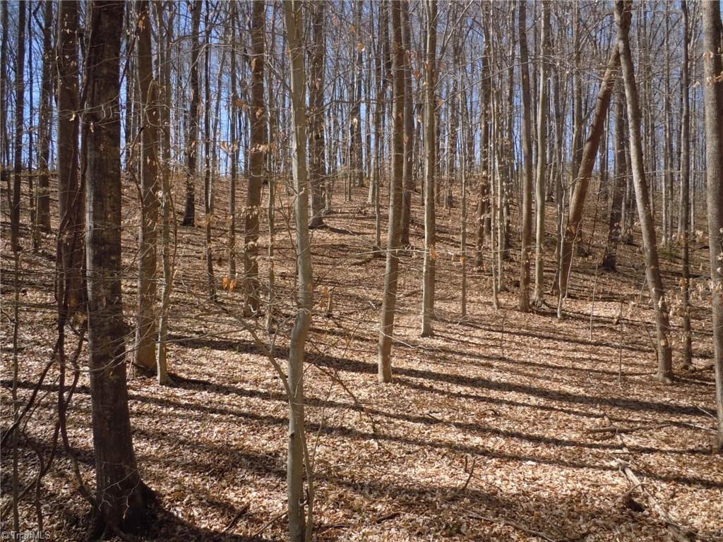 Lot 7 Percy Wall Road Walnut Cove, NC 27052 - Photo 21 of 30 Gallery Image 21
