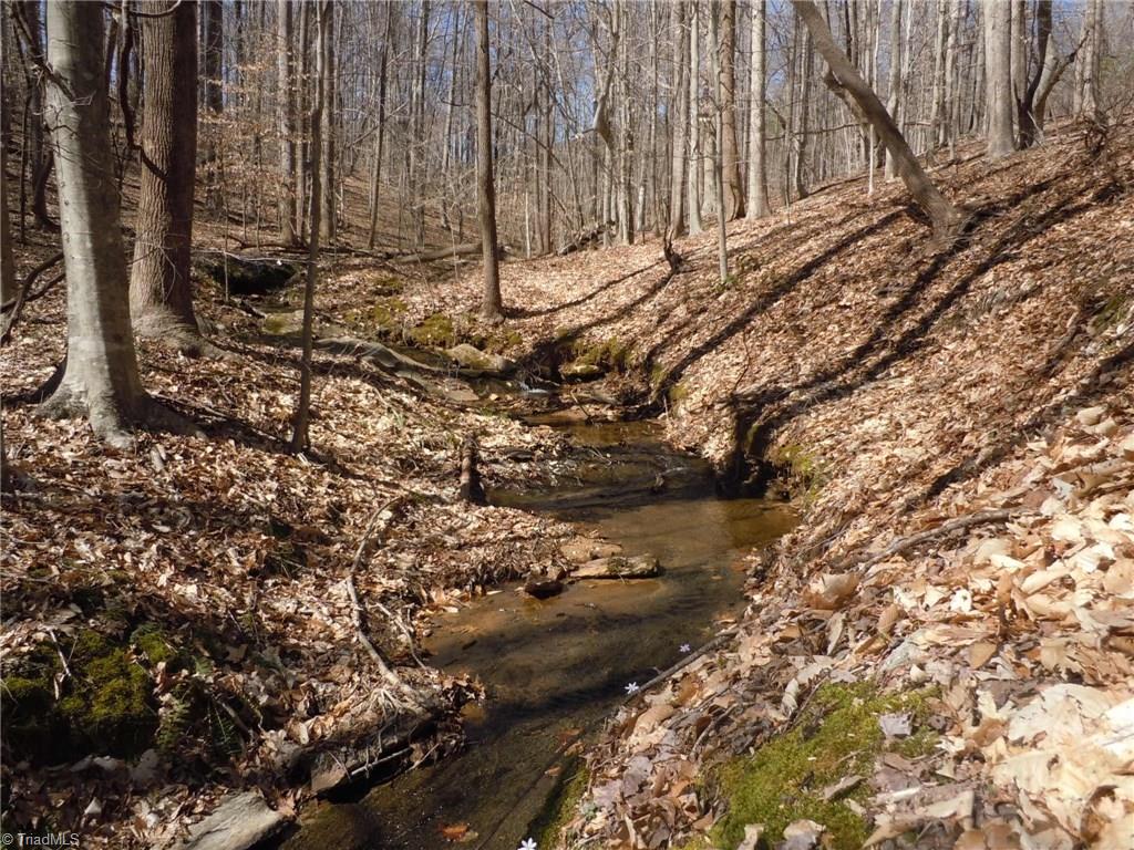 Lot 7 Percy Wall Road Walnut Cove, NC 27052 - Photo 22 of 30 Gallery Image 22