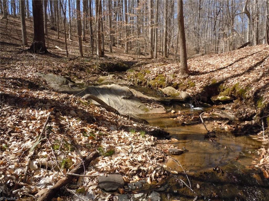 Lot 7 Percy Wall Road Walnut Cove, NC 27052 - Photo 23 of 30 Gallery Image 23