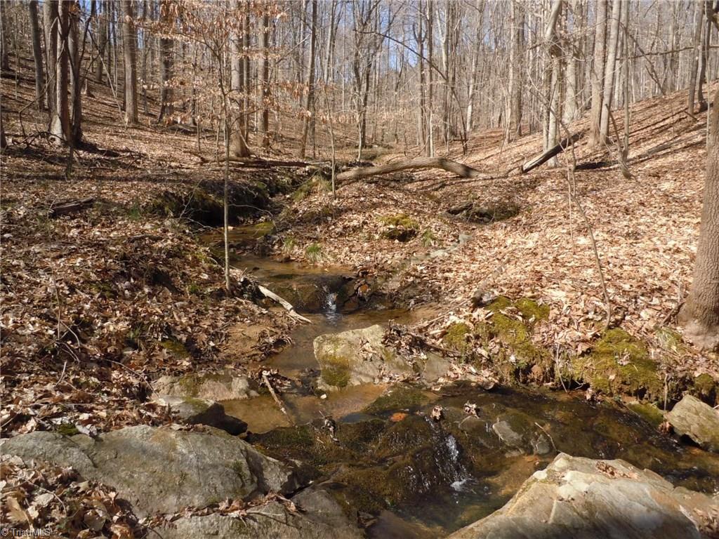 Lot 7 Percy Wall Road Walnut Cove, NC 27052 - Photo 24 of 30 Gallery Image 24