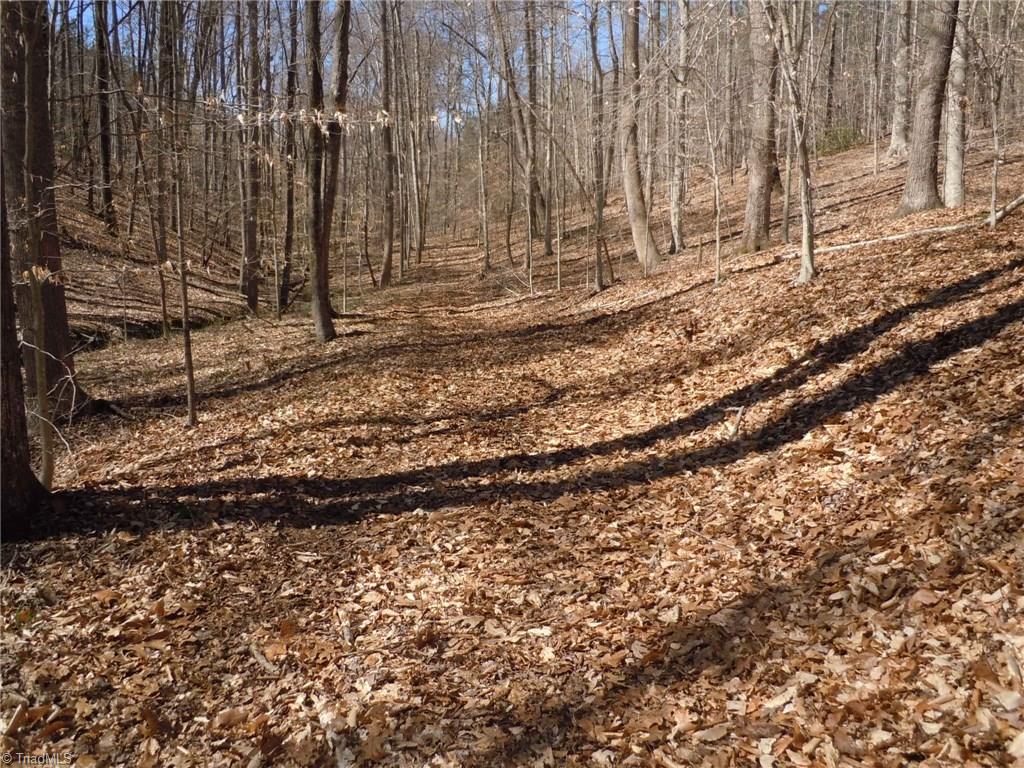 Lot 7 Percy Wall Road Walnut Cove, NC 27052 - Photo 25 of 30 Gallery Image 25