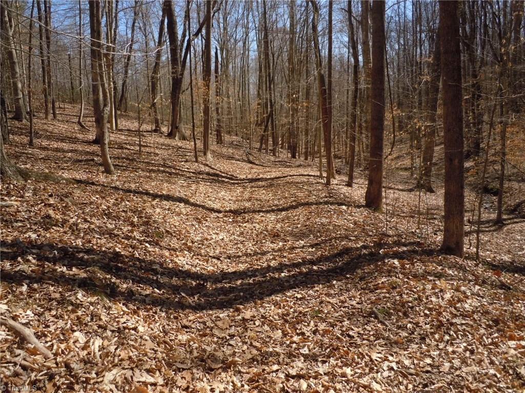 Lot 7 Percy Wall Road Walnut Cove, NC 27052 - Photo 26 of 30 Gallery Image 26