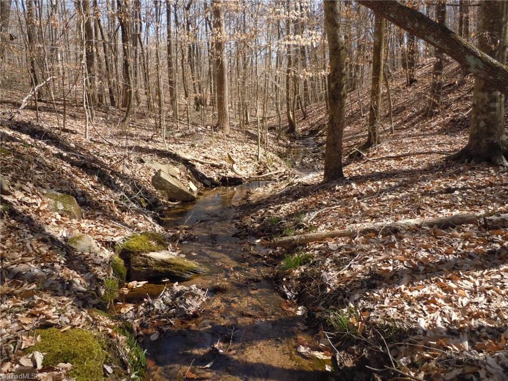 Lot 7 Percy Wall Road Walnut Cove, NC 27052 - Photo 28 of 30 Gallery Image 28