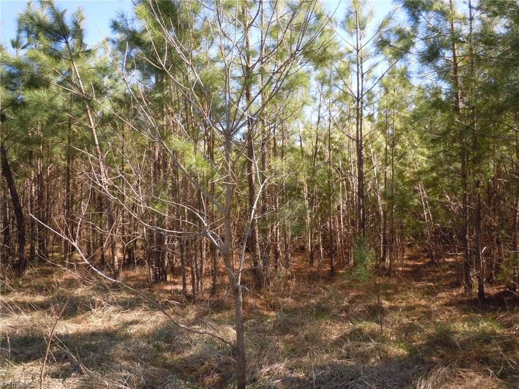 Lot 7 Percy Wall Road Walnut Cove, NC 27052 - Photo 29 of 30 Gallery Image 29