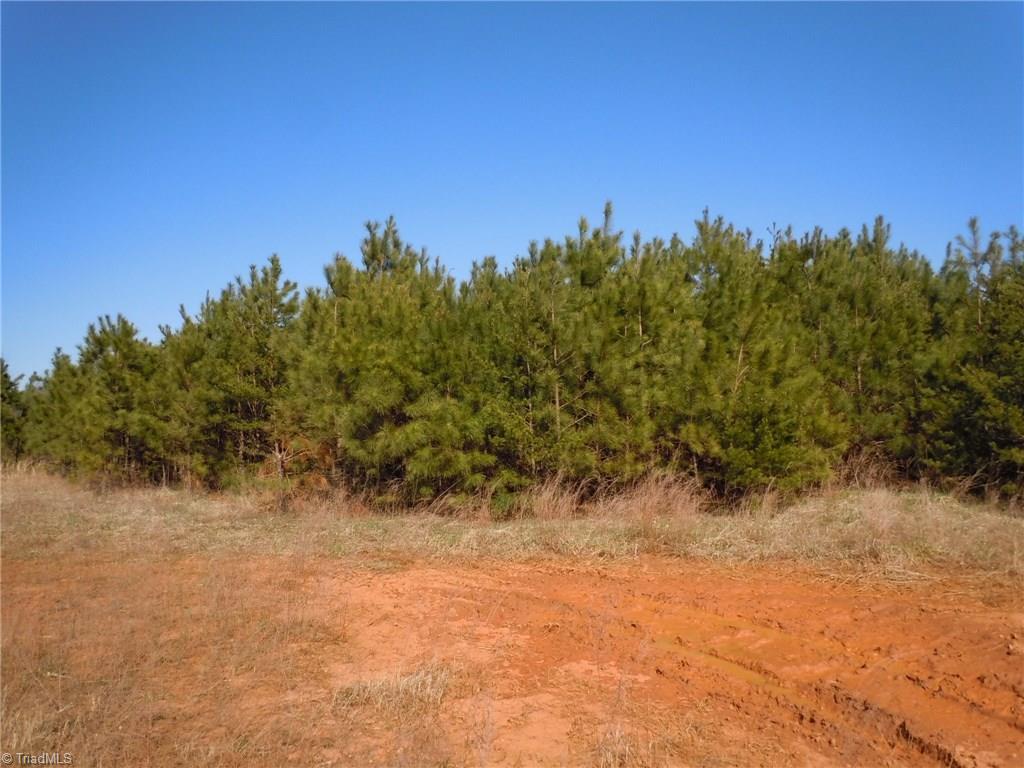 Lot 7 Percy Wall Road Walnut Cove, NC 27052 - Photo 30 of 30 Gallery Image 30