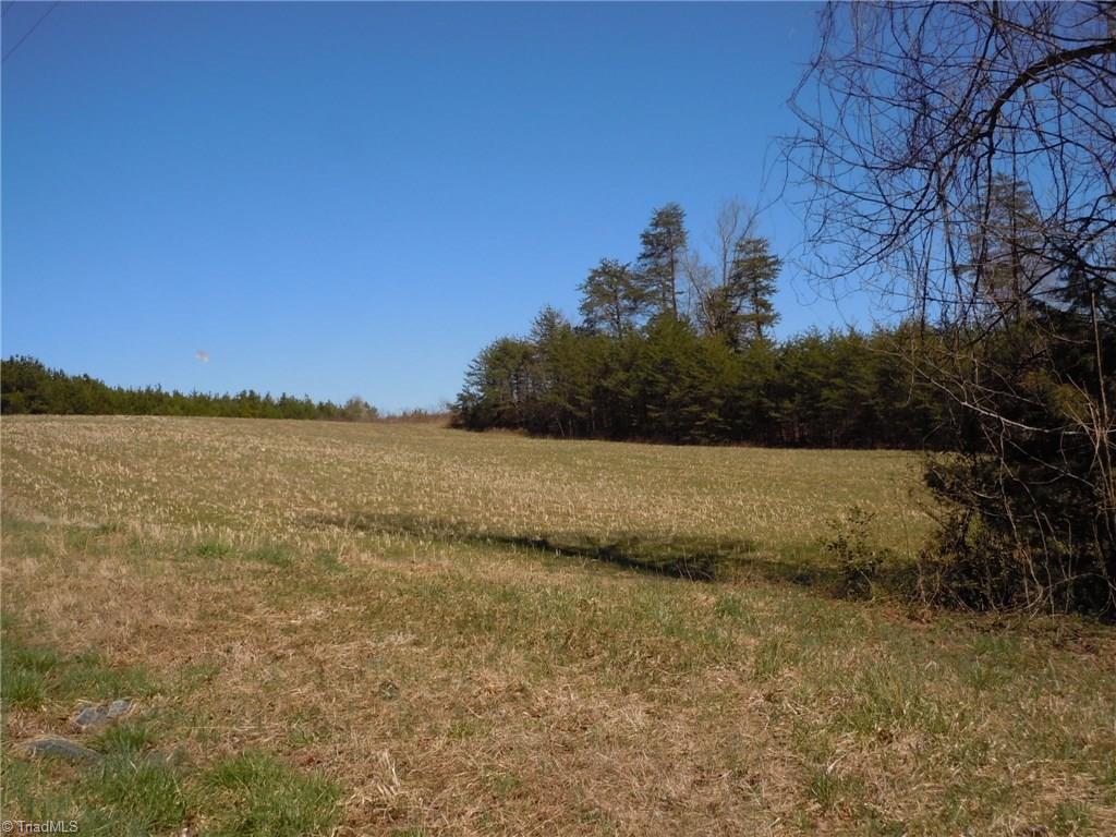 Lot 7 Percy Wall Road Walnut Cove, NC 27052 - Photo 8 of 30 Gallery Image 8