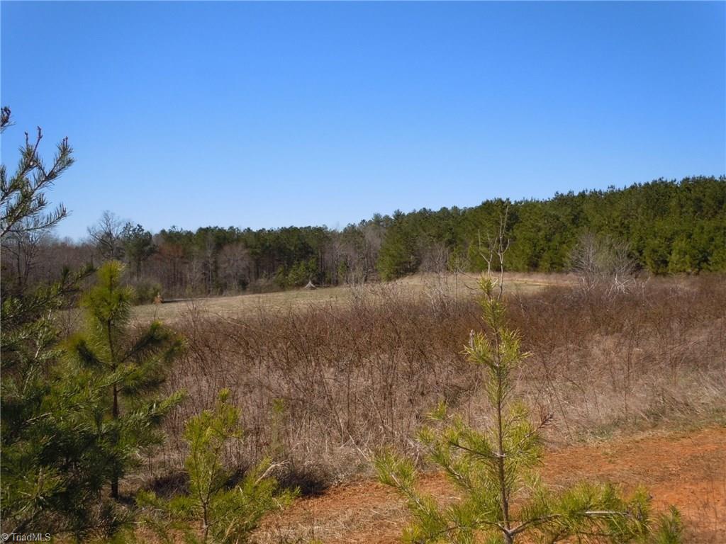 Lot 7 Percy Wall Road Walnut Cove, NC 27052 - Photo 9 of 30 Gallery Image 9