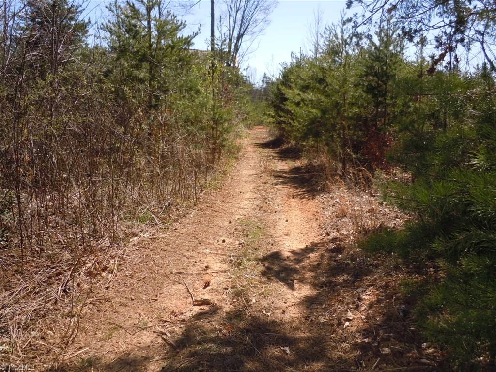Lot 7 Percy Wall Road Walnut Cove, NC 27052 - Photo 10 of 30 Gallery Image 10