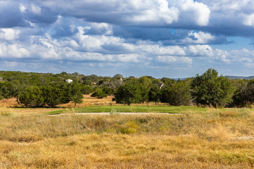 1028 Albatross Way East Kerrville, TX 78028 - Photo 2 of 10