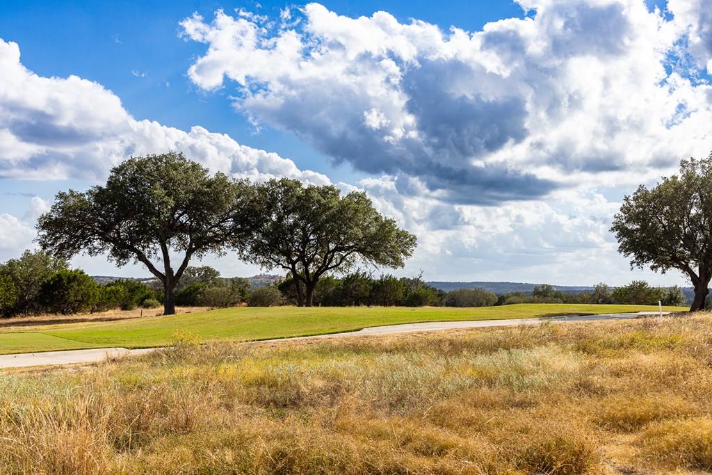 1028 Albatross Way East Kerrville, TX 78028 - Photo 8 of 10