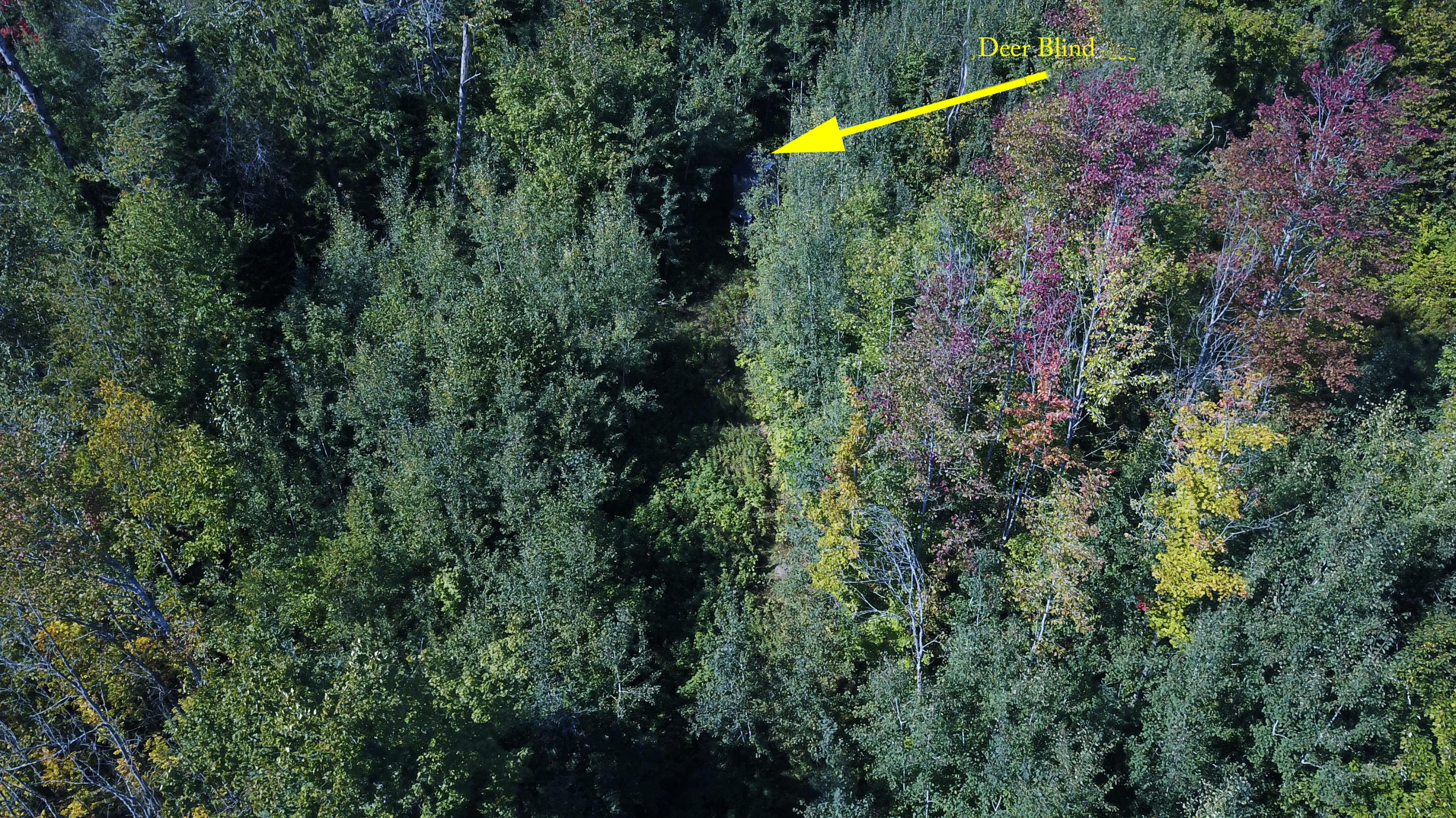 West Huffman Lake Road Vanderbilt, MI 49795 - Photo 11 of 16 Gallery Image 11