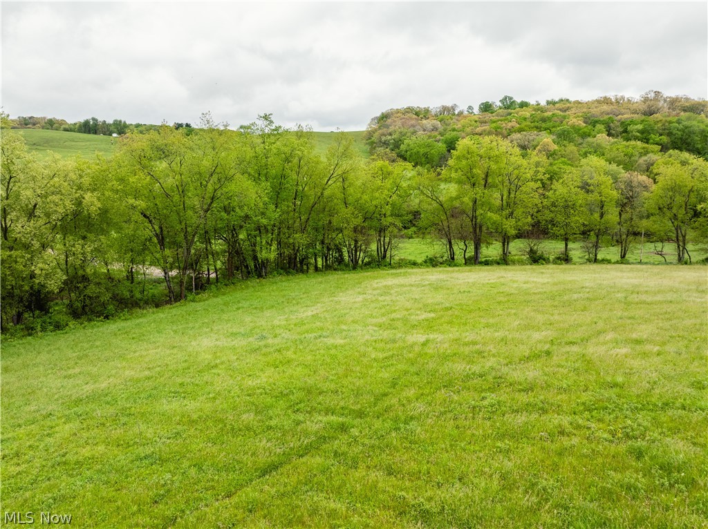 Timmerman Road Bowerston, OH 44695 - Photo 22 of 26