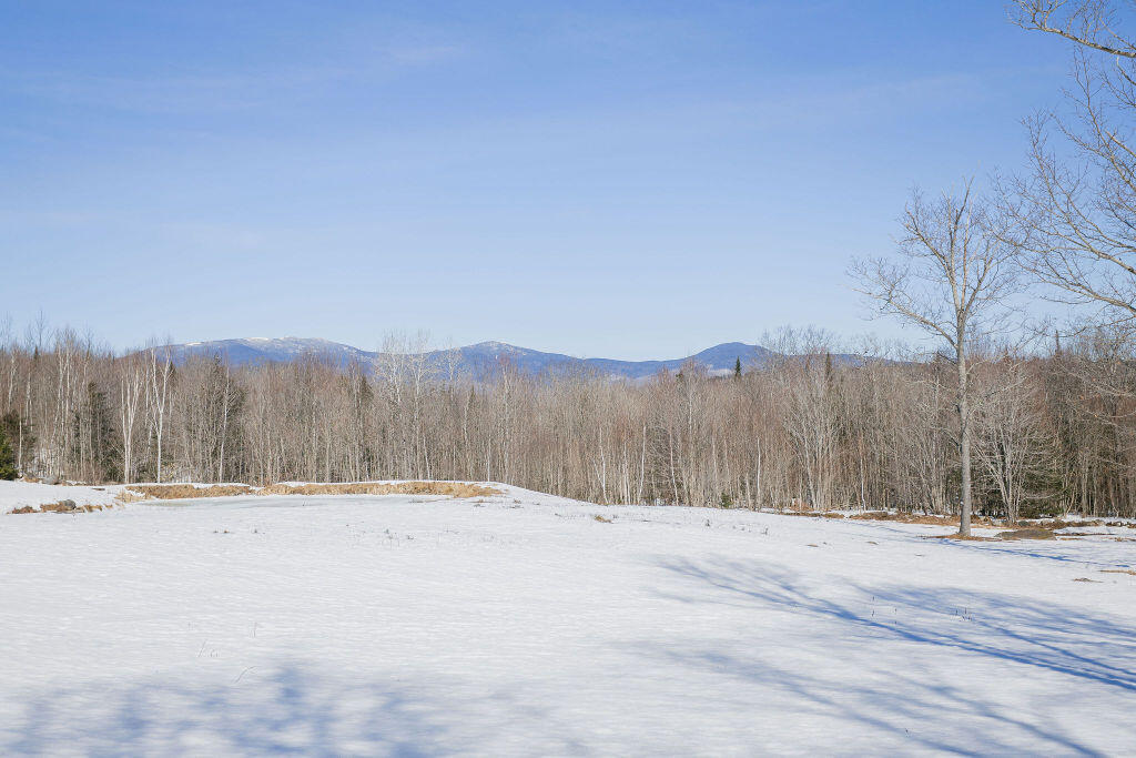 31 Bog Pond Road Phillips, ME 04966 - Photo 10 of 104 taylor-kaminsky-photo-17