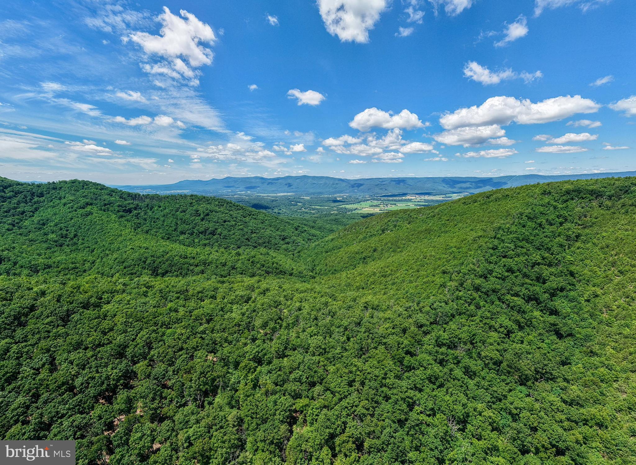 0 Dovel Hollow Road Stanley, VA 22851 - Photo 22 of 22