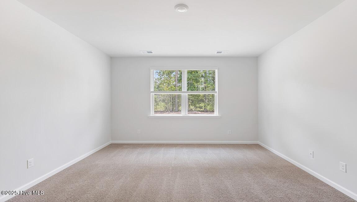 5334 Areca Road, Unit LOT 408 Castle Hayne, NC 28429 - Photo 7 of 45 Interior photos are of similar home, actual home features and colors will vary