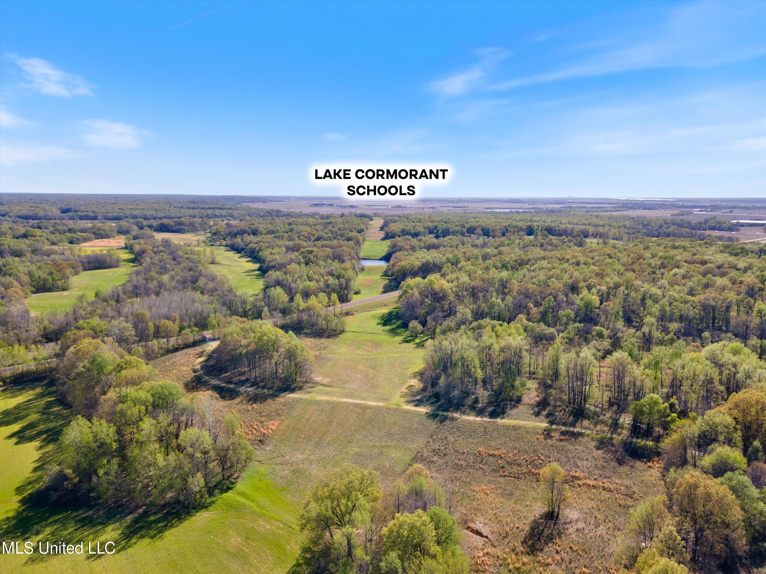 0 Church Road Walls, MS 38680 - Photo 4 of 17 01-Lake Cormorant Schools