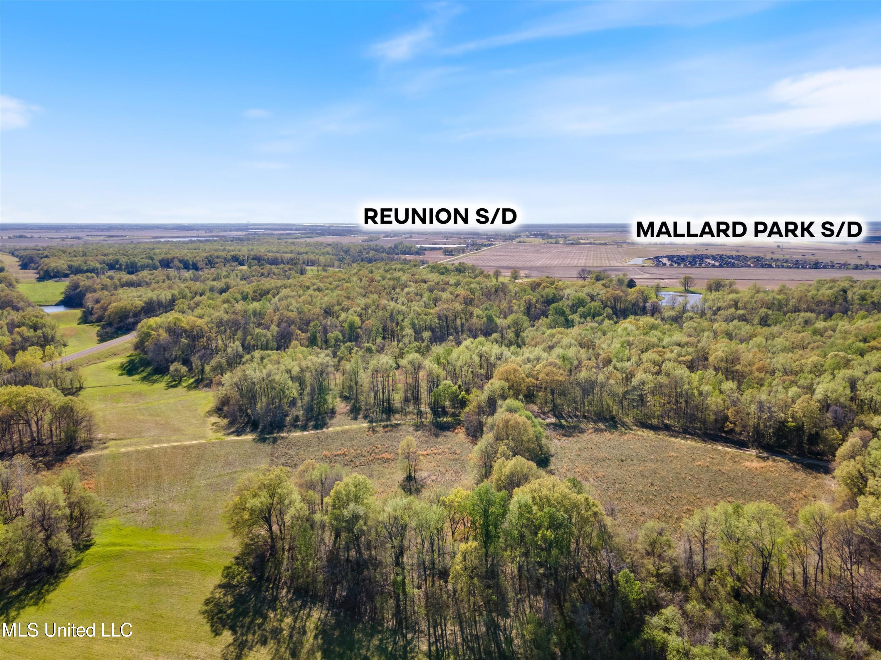 0 Church Road Walls, MS 38680 - Photo 5 of 17 03-Reunion SD