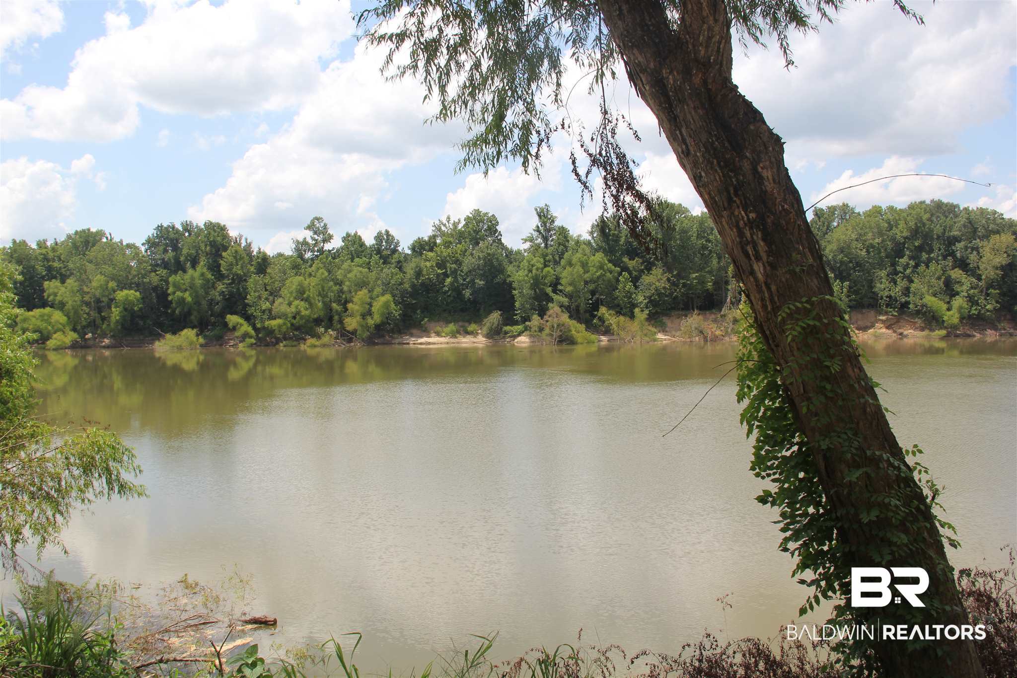 4980 Eureka Landing Road Uriah, AL 36480 - Photo 9 of 11