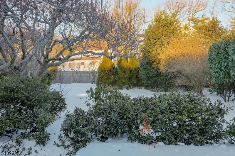 643 Nottingham Place Westfield, NJ 07090 - Photo 33 of 42