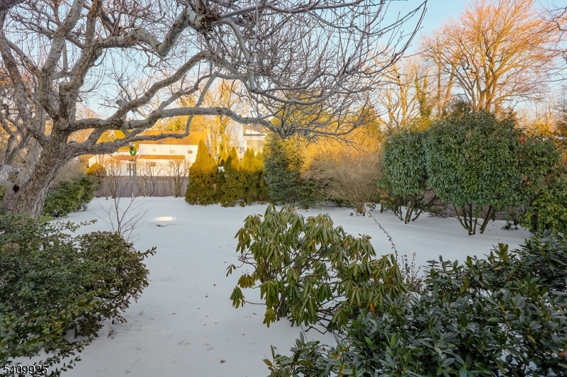 643 Nottingham Place Westfield, NJ 07090 - Photo 35 of 42