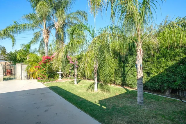 a view of a park with palm trees