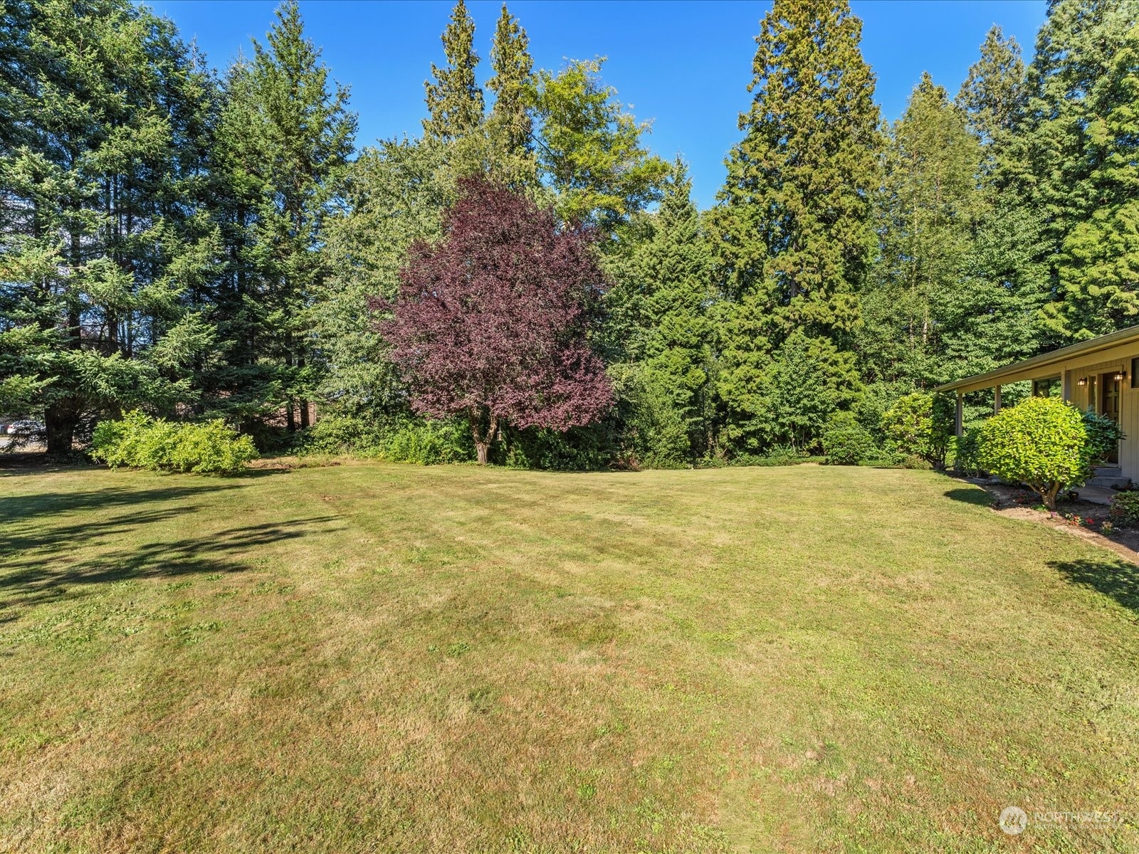 3119 Mountain View Road Ferndale, WA 98248 - Photo 29 of 40 a view of outdoor space and yard