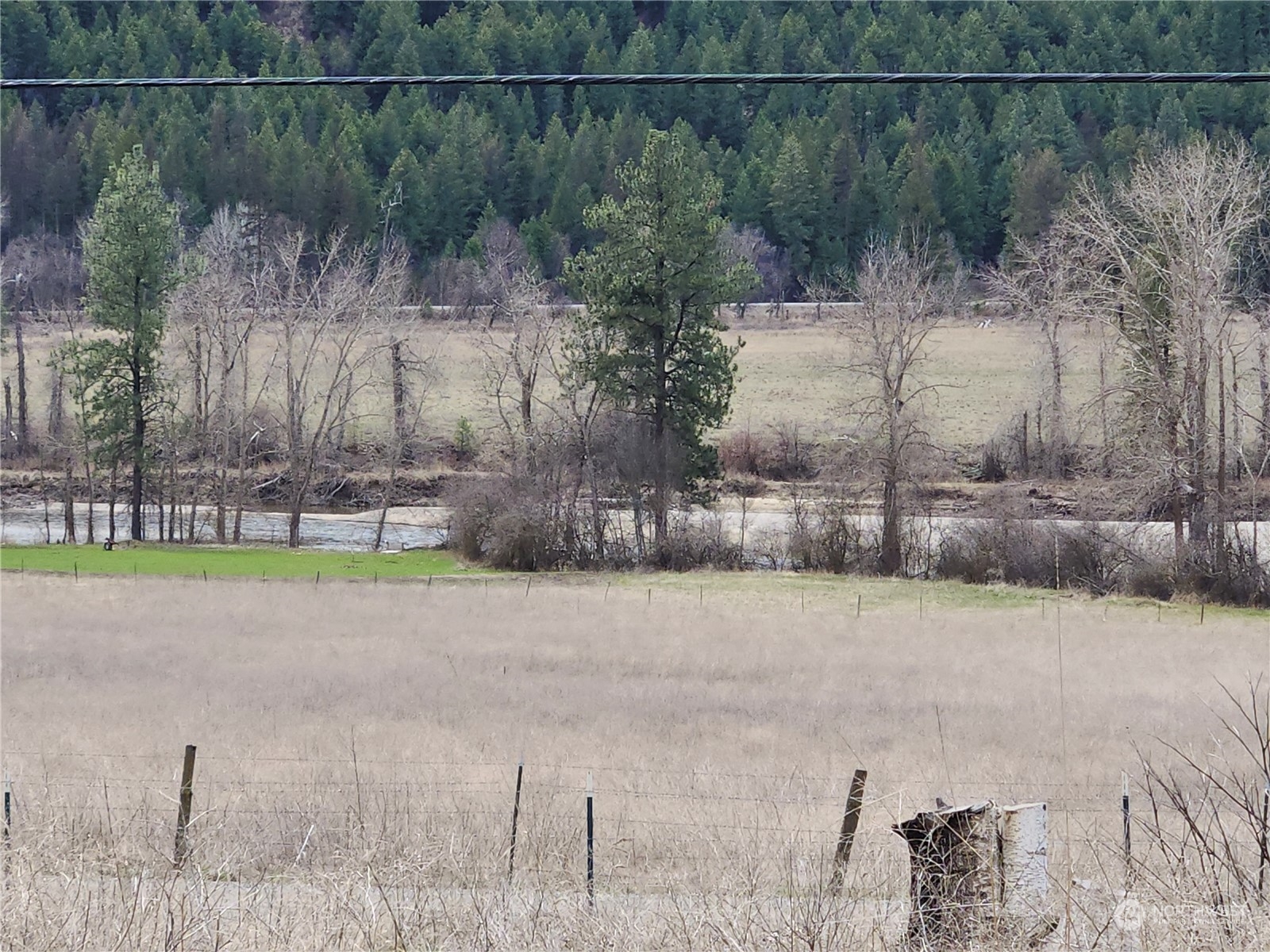 160 Customs Road Curlew, WA 99118 - Photo 21 of 39 Gallery Image 21