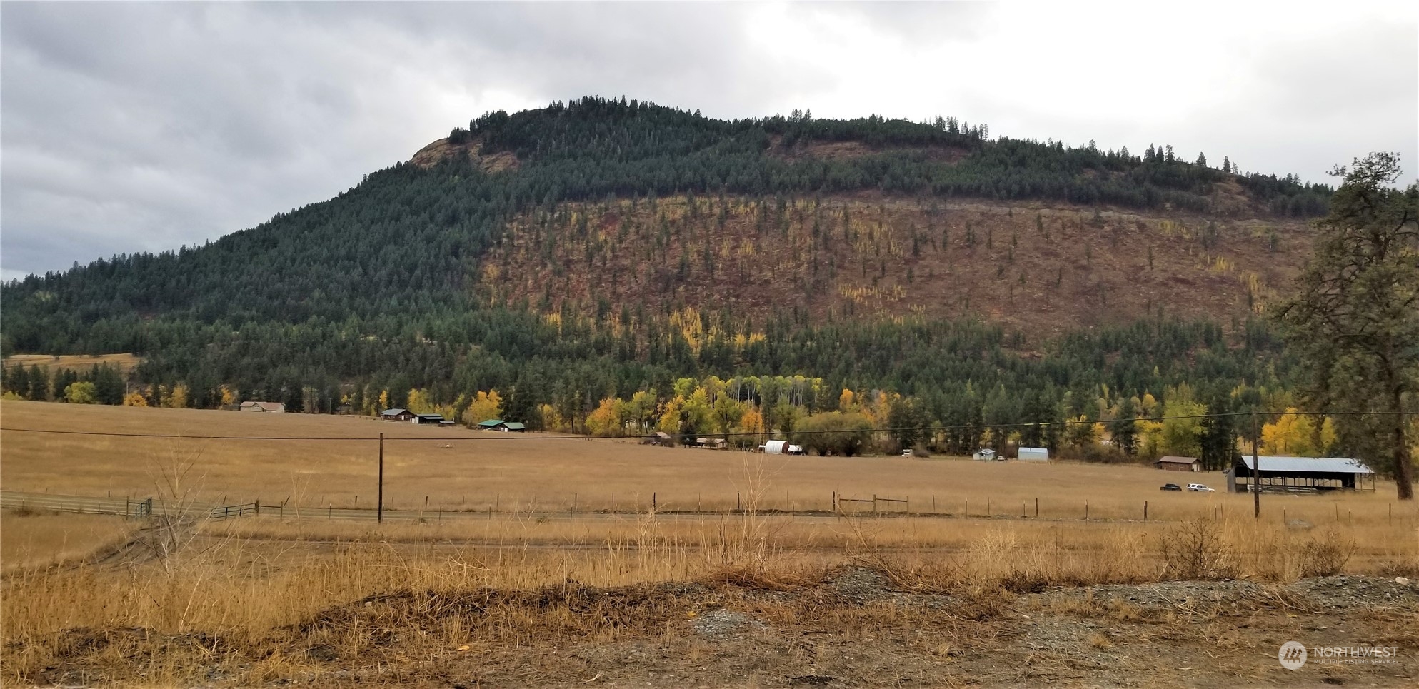 160 Customs Road Curlew, WA 99118 - Photo 29 of 39 Gallery Image 29