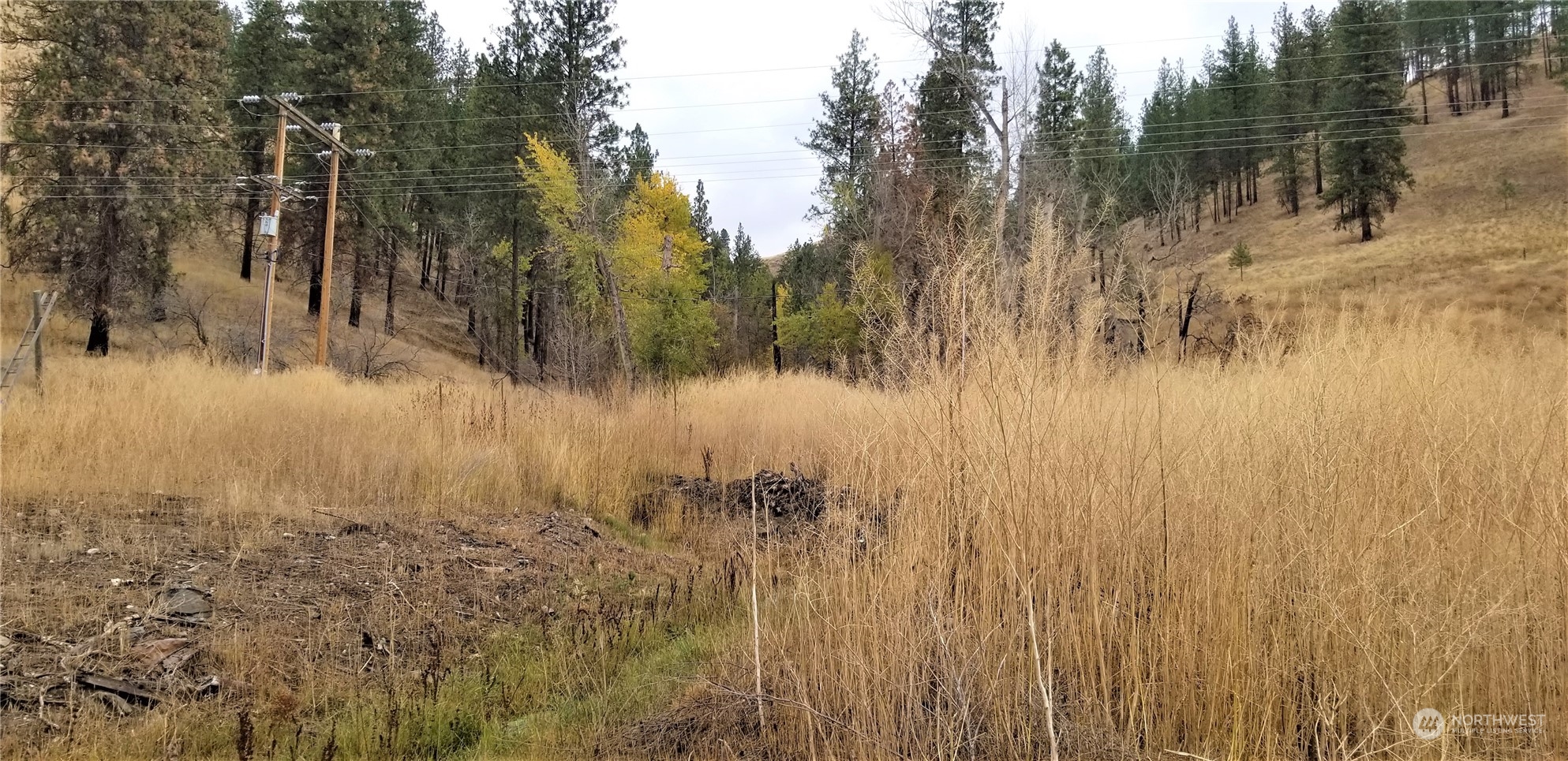 160 Customs Road Curlew, WA 99118 - Photo 33 of 39 Gallery Image 33