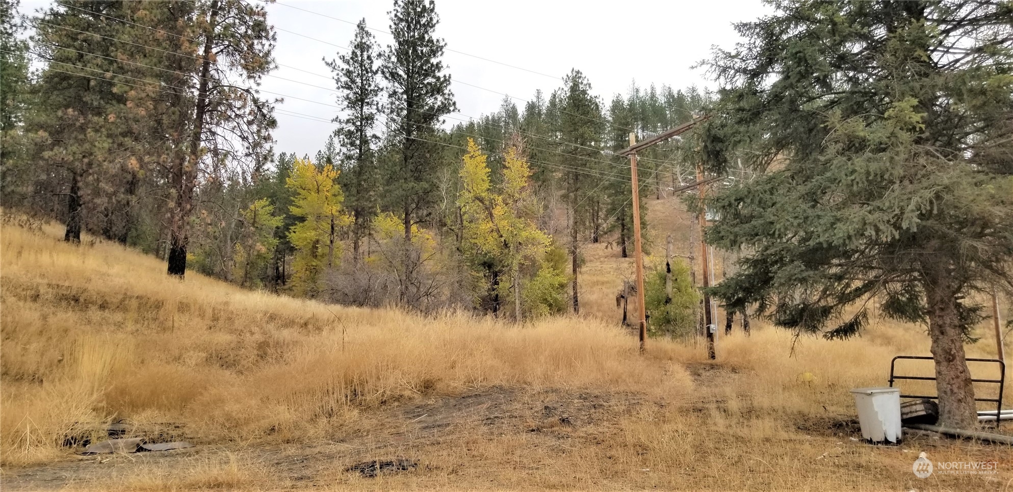 160 Customs Road Curlew, WA 99118 - Photo 34 of 39 Gallery Image 34