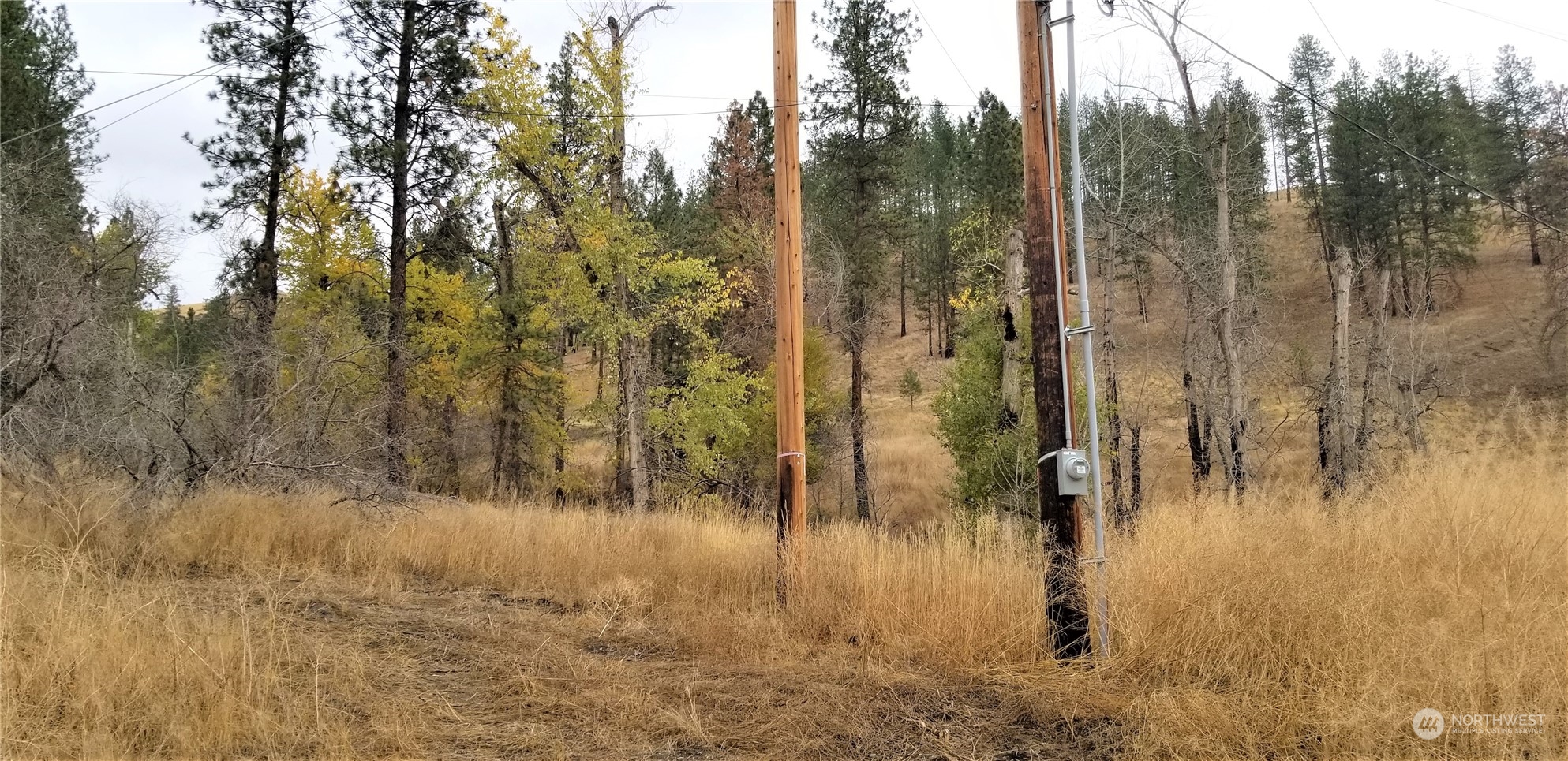 160 Customs Road Curlew, WA 99118 - Photo 35 of 39 Gallery Image 35