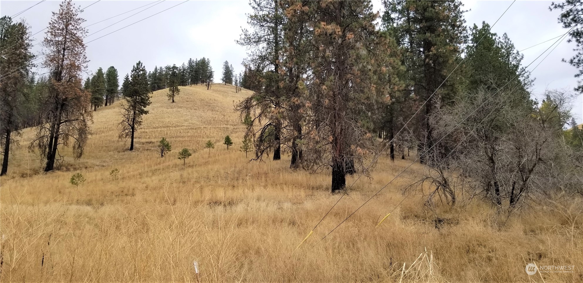 160 Customs Road Curlew, WA 99118 - Photo 36 of 39 Gallery Image 36