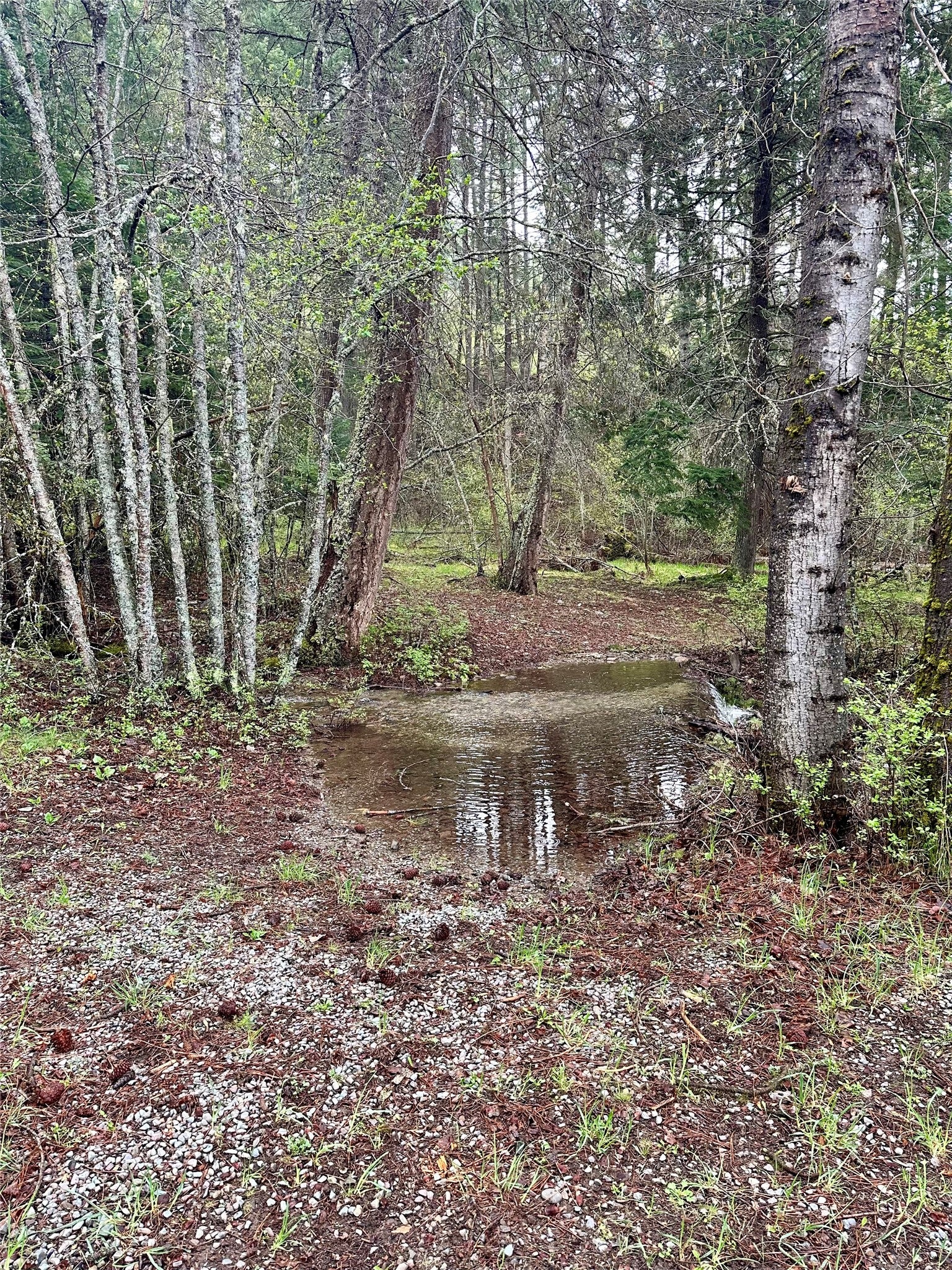 1519 Blue Slide Road Thompson Falls, MT 59873 - Photo 31 of 33 Gallery Image 31
