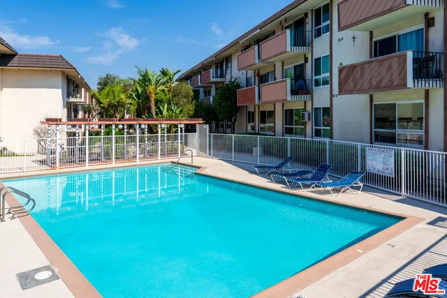a view of a backyard with plants