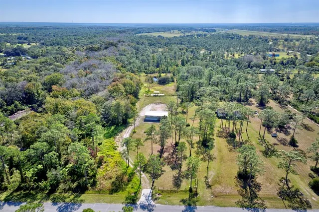 a view of a city with lush green forest