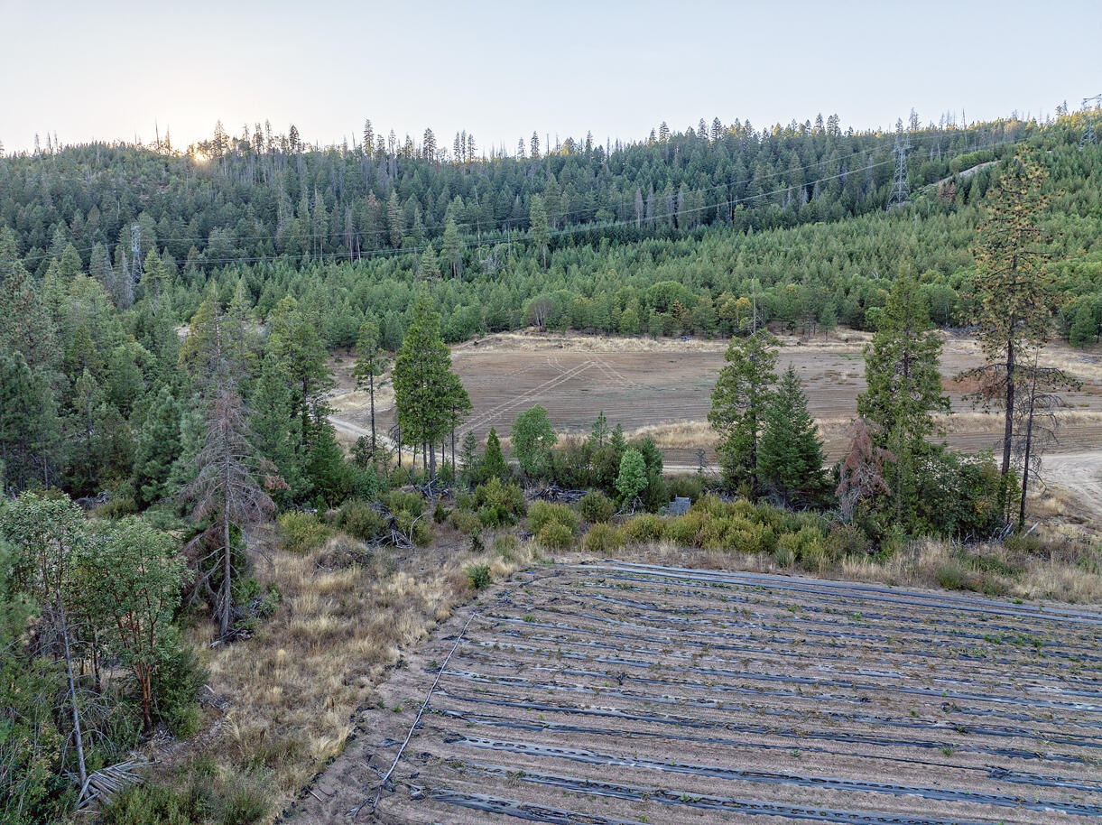 14738 Ramsey Road White City, OR 97503 - Photo 45 of 55 DJI_20241008174348_0100_D copy