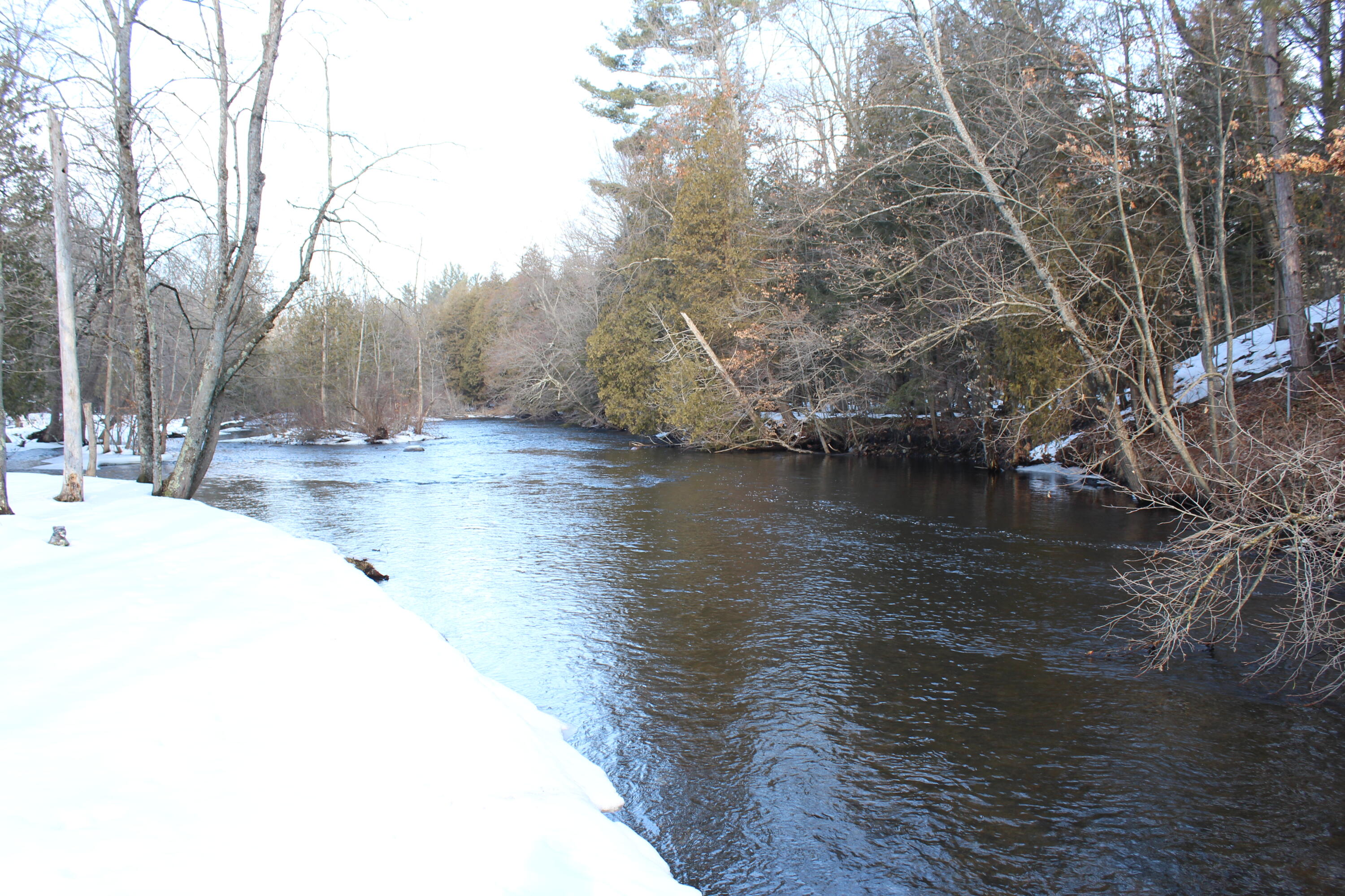 1132 North Meadowbrook Road White Cloud, MI 49349 - Photo 34 of 37 IMG_6354