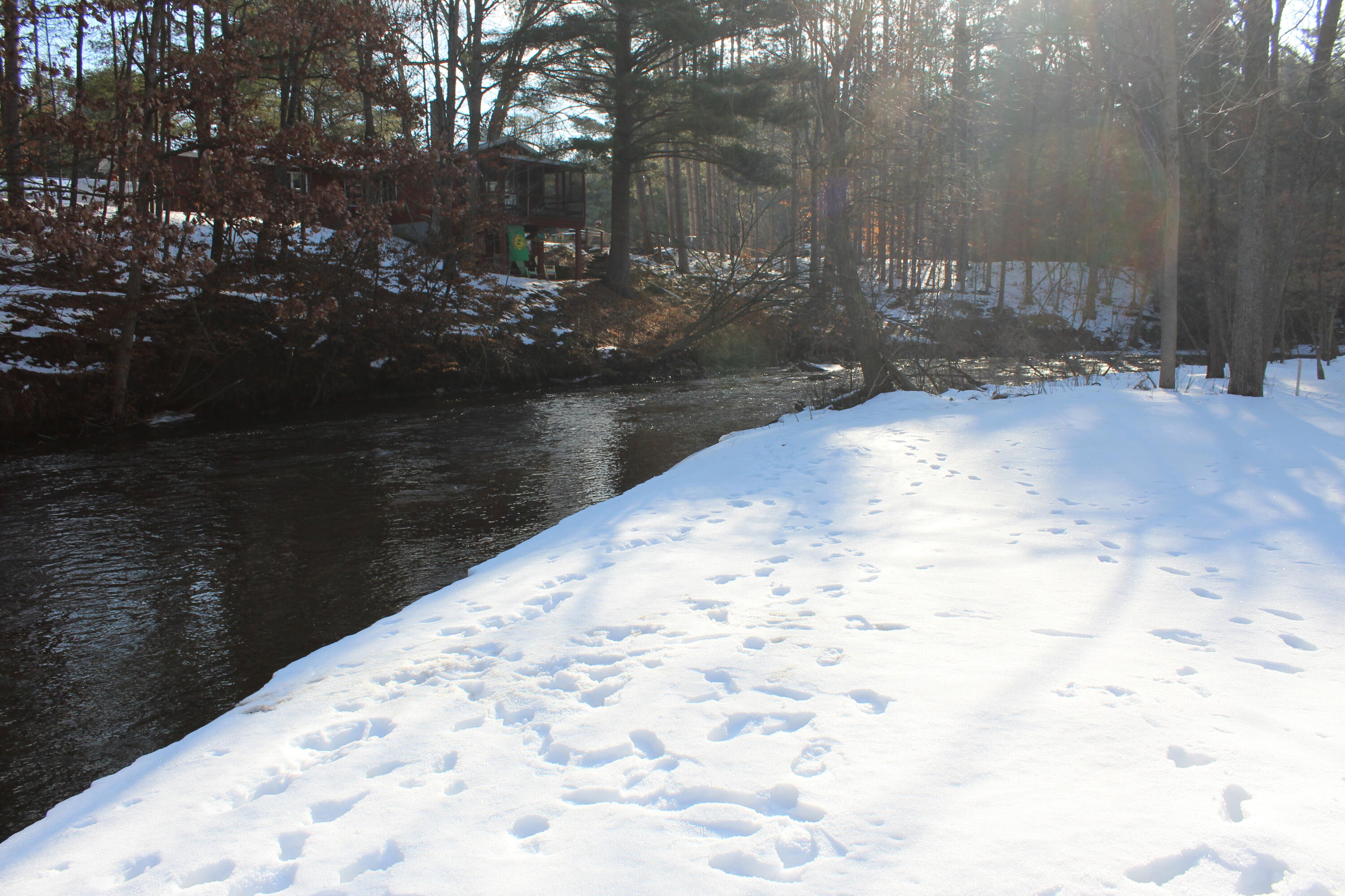 1132 North Meadowbrook Road White Cloud, MI 49349 - Photo 36 of 37 IMG_6359